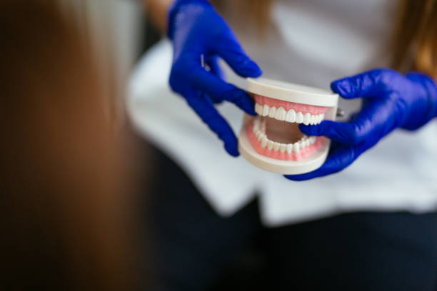 Why Choose Us for Your Dental Needs in Kendale Lakes, FL