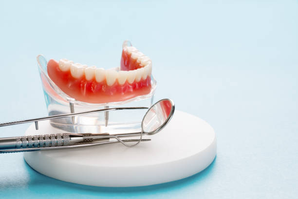 Best Full Mouth Reconstruction  in Kendale Lakes, FL